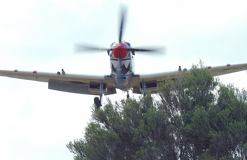 spitfire2.jpg