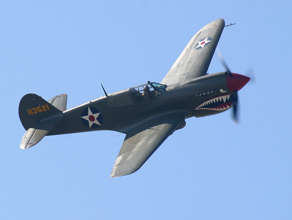P40.jpg